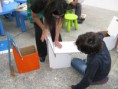 /album/oficina%20de%20mobiliario%20em%20cart%c3%a3o/foto-2-jpg/